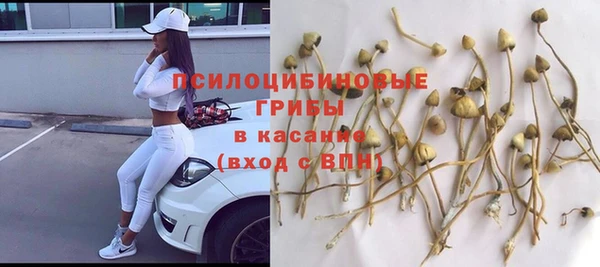 гашик Алзамай