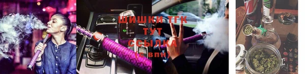 гашик Алзамай