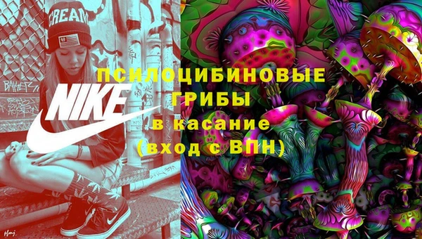 гашик Алзамай