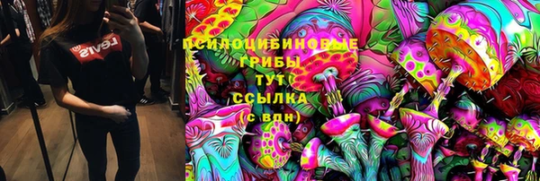 сатива Алексин