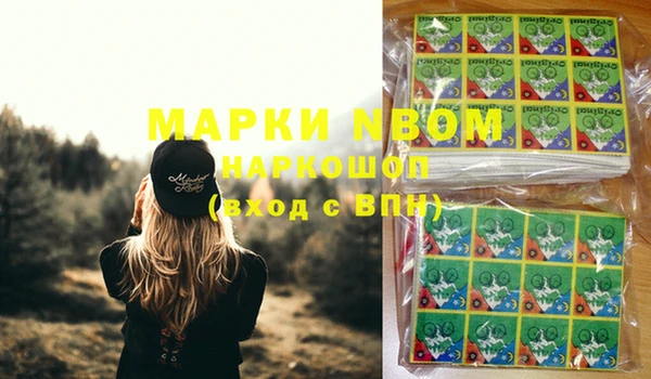 гашик Алзамай