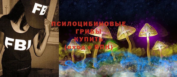 гашик Алзамай