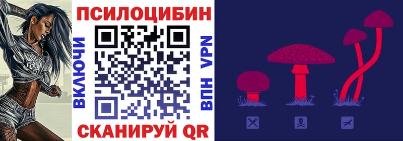 Псилоцибиновые грибы Psilocybe  Миасс 