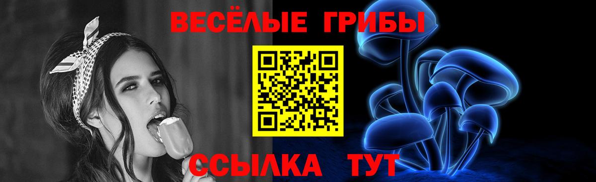 где найти наркотики  Галлюциногенные грибы GOLDEN TEACHER  Вход с VPN  Миасс 